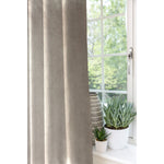 Carica l&#39;immagine nel visualizzatore di Gallery, McAlister Textiles Matt Beige Mink Velvet Curtains Curtains &amp; Drapes 
