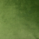 Carica l&#39;immagine nel visualizzatore di Gallery, McAlister Textiles Matt Fern Green Velvet Fabric Fabrics 1 Metre 
